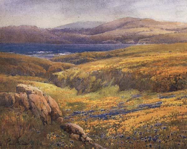 Point Lobos in the Springtime, unknow artist